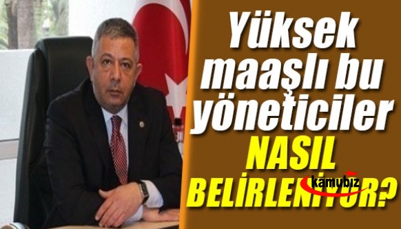 "Yüksek maaşlı bu yöneticiler nasıl belirleniyor?"