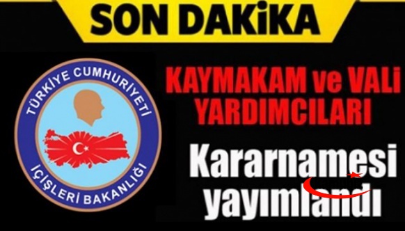 2022 yılı Yaz 'Mülki İdare Amirleri Atama Kararnamesi' yayımlandı! İşte görev yeri değişen kaymakam ve vali yardımcıları isim listesi