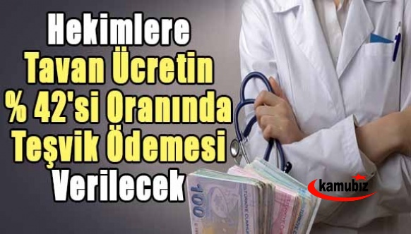 Aile Hekimlerine tavan ücretin yüzde 42'si oranından teşvik ödemesi yapılacak