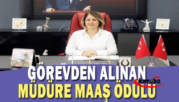 Okul Müdürlüğü Görevinden Alınan Müdüre Maaş Ödülü