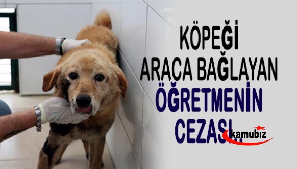 Köpeği, aracının arkasına bağlayıp sürükleyen öğretmenin cezası belli oldu