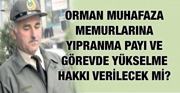 Orman Muhafaza Memurlarına yıpranma payı ve görevde yükselme hakkı verilecek mi?