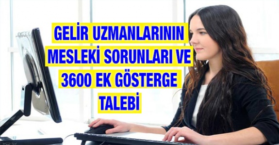 Gelir uzmanlarının mesleki sorunları ve 3600 ek gösterge talebi