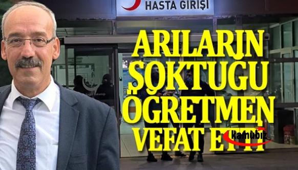 Arıların soktuğu öğretmen, kurtarılamadı!