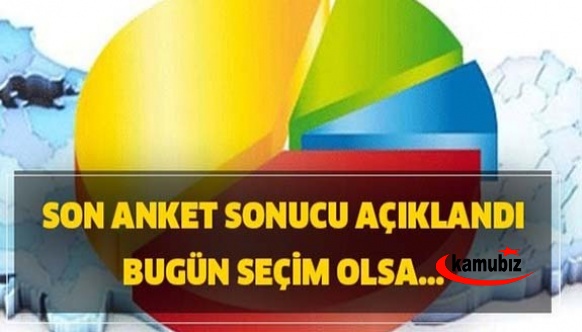 ALF Araştırma 41 il anket sonuçları