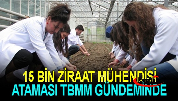 En az 15 bin ziraat mühendisi ataması TBMM gündeminde