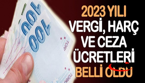 2023 yılı ceza, harç ve bazı vergilerdeki artış oranı belli oldu! Kırmızı ışık cezası 952 lira olacak