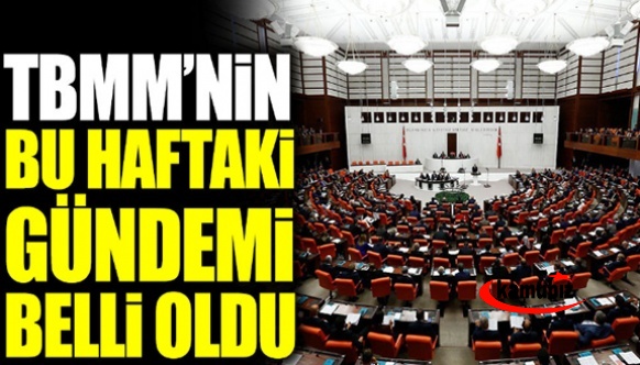 İşte TBMM'nin bu haftaki gündemi 28 Kasım 2022