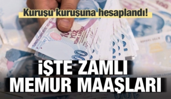 2019'da hangi memur ne kadar maaş alacak? Yüzde 9 zam netleşti