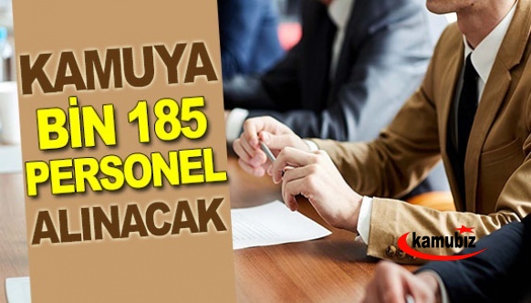 Kamuya 1.185 personel alınacak! İşte ilanlar...