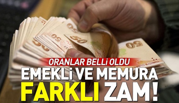 Emekli ve memura farklı zam!