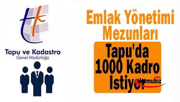 Emlak Yönetimi 4 yıldır atanamadığı Tapu'da 1000 kadro istiyor