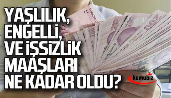 2023 yılı için stajyer, yaşlılık, engelli ve işsizlik maaşları belli oldu