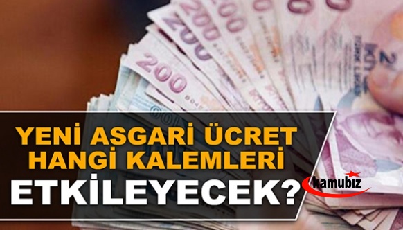 Yeni asgari ücret hangi kalemleri etkileyecek?