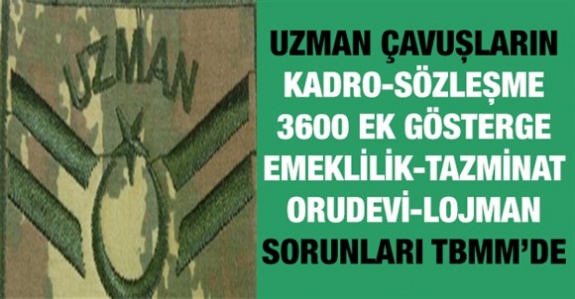 Uzman çavuşların kadro, 3600 ek gösterge, emeklilik ve diğer sorunları TBMM'de