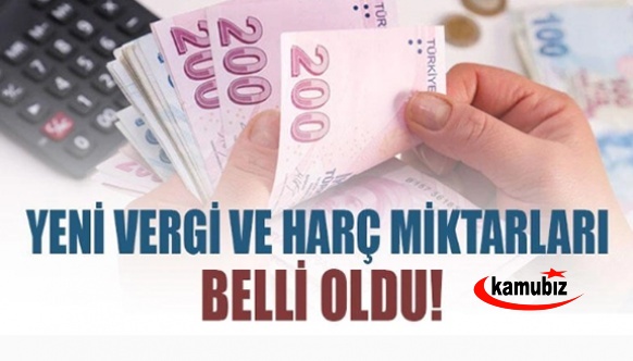 2023 zamlı vergi ve harç miktarları belli oldu! Pasaport, sürücü belgeleri, çevre, damga ve emlak vergisi ne kadar?