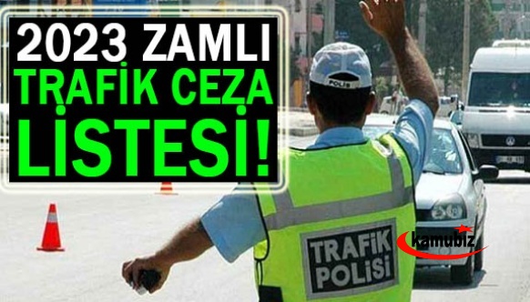 İşte kalem kalem 2023 trafik cezaları! Aşırı hız, kemer takmama, kırmızı ışıkta geçme, telefon kullanma ve diğer tüm cezalar