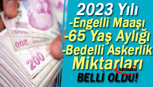 2023 yılı engelli maaşı, 65 yaş aylığı ve bedelli askerlik miktarları belli oldu!