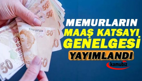 Memura yüzde 16,4 zamma ait katsayılar yayımlandı! Maaş katsayısı, taban aylık katsayısı, yan ödeme katsayısı haberimizde