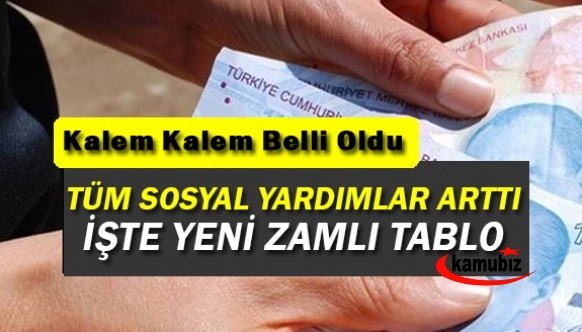 2023 yılı 65 yaş aylığı, evde bakım maaşı, çocuk desteği ve engelli maaşı ne kadar oldu? İşte kuruşu kuruşuna tek tablo