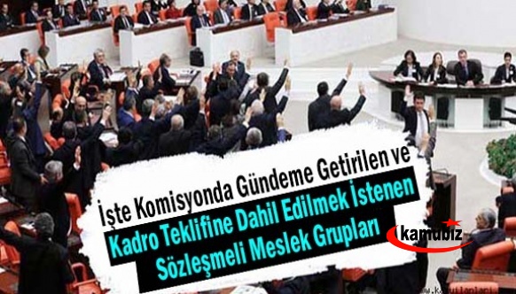 İşte komisyonda gündeme getirilen ve kadro teklifine dahil edilmek istenen meslek grupları: