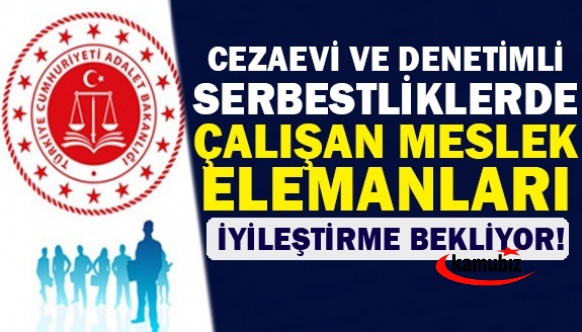 Cezaevi ve Denetimli Serbestliklerde Çalışan Meslek Elemanları İyileştirme Bekliyor