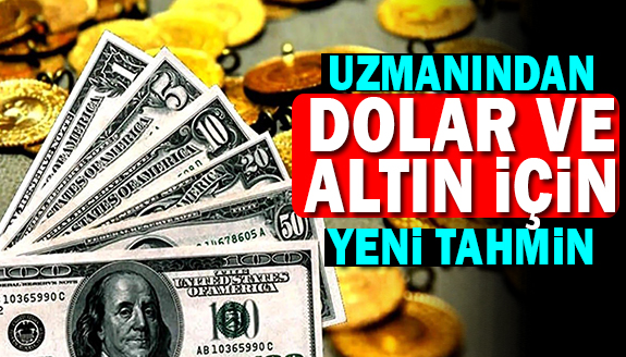 Uzman isim, dolar ve altın ne kadar yükselecek, açıkladı