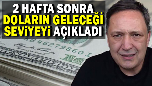 Doların 2 hafta sonra geleceği seviye açıklandı!