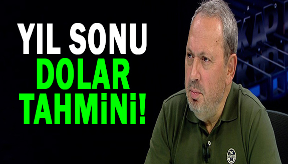 Ünlü ekonomisten yıl sonu Dolar kuru yeni tahmin