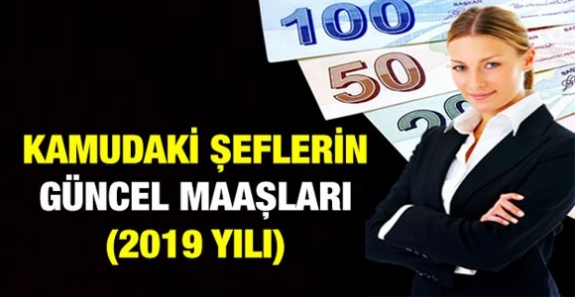 Her derece ve kademede kamu şeflerinin güncel maaşları