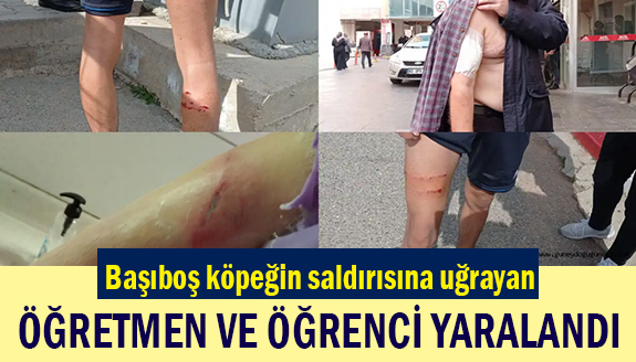 Başıboş köpeğin saldırısında öğretmen ve öğrenci yaralandı