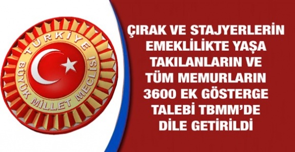 Çıraklık ve stajyer mağdurları, emeklilikte yaşa takılanlar ve tüm memurlara 3600 ek gösterge TBMM'de dile getirildi