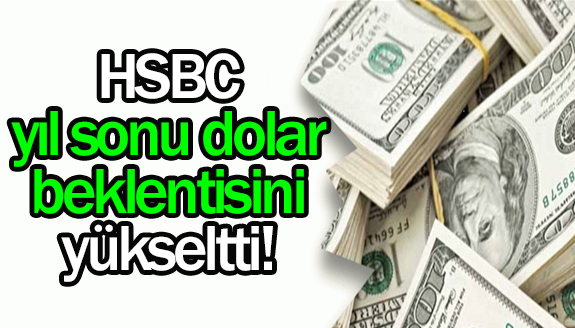 HSBC Bank yıl sonu dolar/TL beklentisini yükseltti