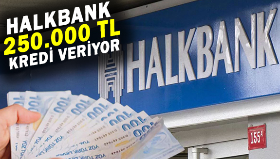 Halkbank 250.000 TL girişimci kredisi! 1 yıl geri ödemesiz