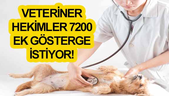 Veteriner hekimlerden 7200 ek gösterge ve özlük hakları talebi