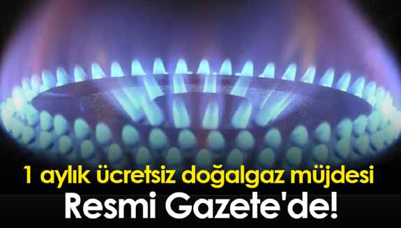 Ücretsiz doğalgaz Kararnamesi yayımlandı! Konutlarda 1 ay boyunca bedel alınmayacak