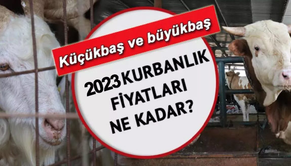 Kurbanlık fiyatları 2023 vekaletle kurban kesim bedeli ne kadar? Küçükbaş, büyükbaş, dana, tosun, koyun, kuzu...