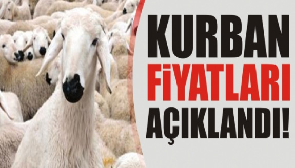 Türkiye Kasaplar Federasyonu kurbanlık fiyatlarını açıkladı