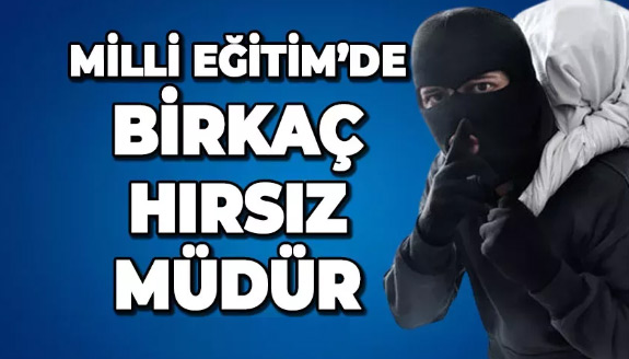 Milli Eğitim'de birkaç hırsız müdür…