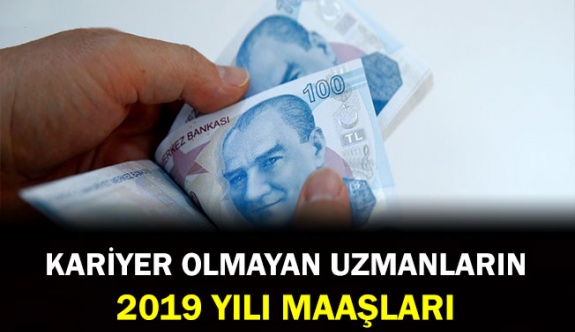 Kariyer olmayan Uzman Personelin 2019 yılı aylık net maaşı ne kadar?