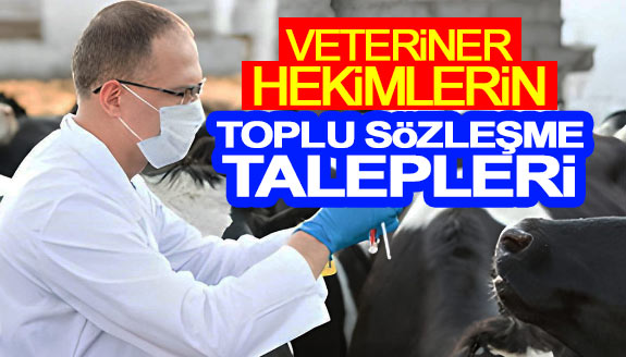 Veteriner hekimlerin sorunları ve toplu sözleşme talepleri neler?