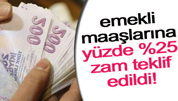 Memur, işçi ve bağ kur emekli maaşlarına yüzde 25 zam teklif edildi!