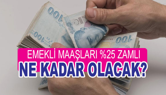 Yüzde 25 zam sonrası kim ne kadar emekli maaşı alacak?