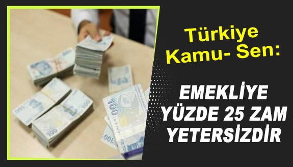 Türkiye Kamu-Sen: Yüzde 25 zam yetersiz