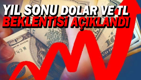 Yıl sonu enflasyon ve dolar beklentisi değişti!