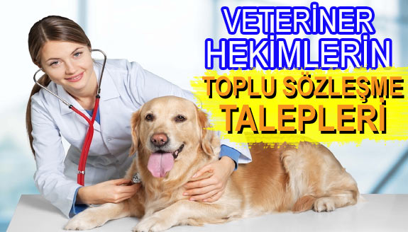 Veteriner hekimlerin 7. dönem toplu sözleşme talepleri