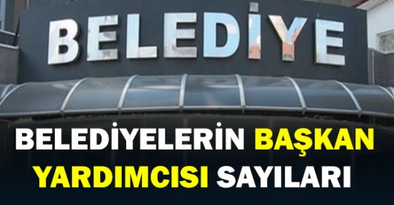 Belediyelerde kaç başkan yardımcısı kadrosu bulunur?