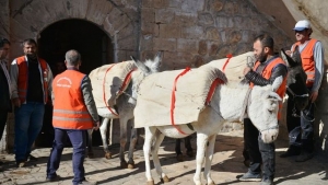 Mardin Belediyesinde Kadrolu 3 Eşek Törenle Emekli Edildi