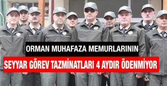 Orman muhafaza memurlarının seyyar görev tazminatları 4 aydır ödenmiyor