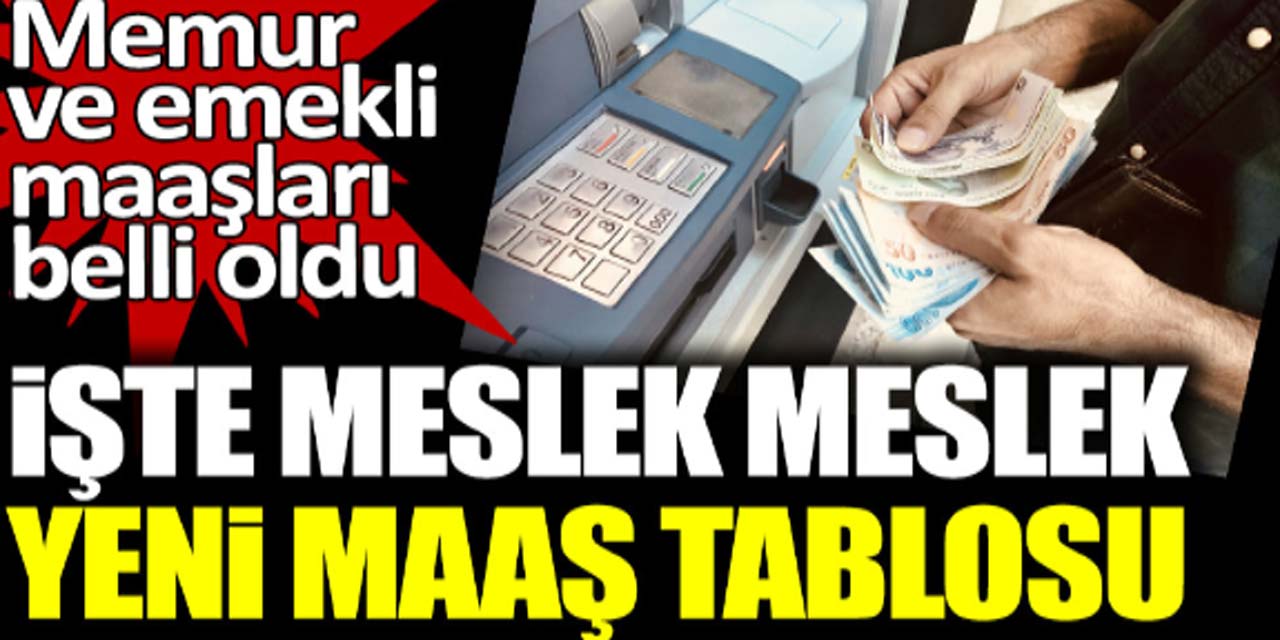 5 aylık enflasyon farkına göre hesaplandı: İşte meslek meslek Ocak 2024 memur ve emekli maaşları...